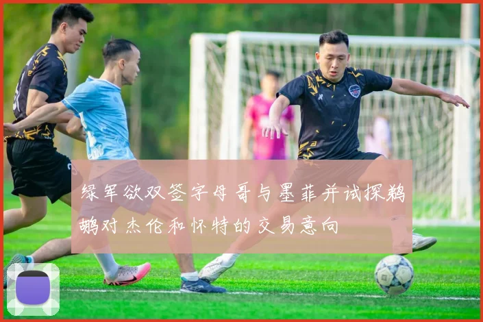 绿军欲双签字母哥与墨菲并试探鹈鹕对杰伦和怀特的交易意向