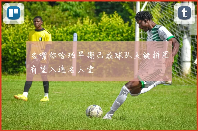 名嘴称哈珀早期已成球队关键拼图有望入选名人堂