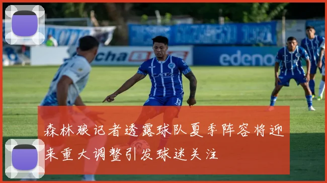森林狼记者透露球队夏季阵容将迎来重大调整引发球迷关注